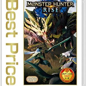 【美品】モンスターハンター ライズ switch