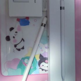 値下げ★早い者勝ち★セット Apple pencil 第1世代 変換アダプター