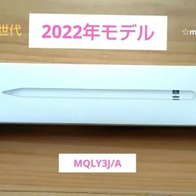 Apple pencil 第一世代 MQLY3J/A K'sデンキ購入品iPad
