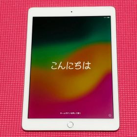 【動作良好・お得】Apple iPad (第6世代) 128GB シルバー