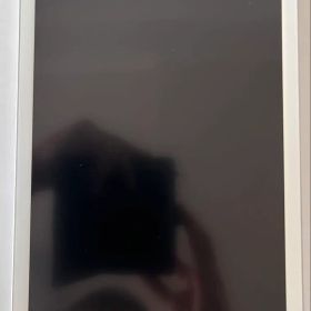 極美品 Apple iPad 6世代 32GB Wi-Fi シルバー