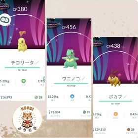 ✨色違いチコリータ、ワニノコ、ポカブSP背景2025 | ポケモンGOのトレード(モンスター)、RMTの販売・買取一覧