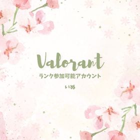 【即対応可能】Valorant ランク可能垢