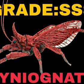 RARE SUPPORT リニオグナタ グレードSSS | ARK Survival Evolvedのアカウントデータ、RMTの販売・買取一覧