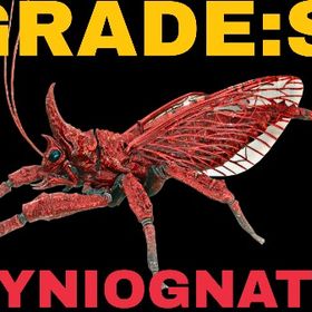 RARE SUPPORT リニオグナタ グレードS | ARK Survival Evolvedのアカウントデータ、RMTの販売・買取一覧