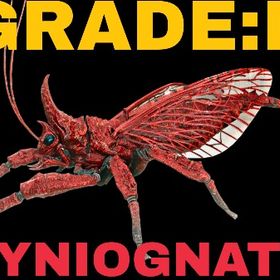 RARE SUPPORT リニオグナタ グレードB | ARK Survival Evolvedのアカウントデータ、RMTの販売・買取一覧