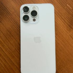 Apple iPhone 14 Pro Max シルバー 本体 おまけ付き