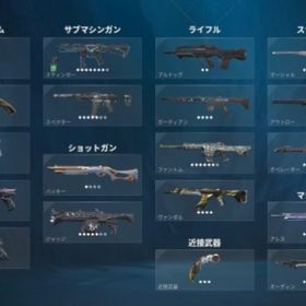 スキン大量垢 | VALORANT(ヴァロラント)のアカウントデータ、RMTの販売・買取一覧