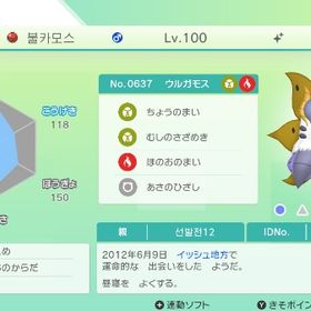 イベント配布 韓国ウルガモス | ポケモンSV(スカーレットバイオレット)のアイテム、RMTの販売・買取一覧
