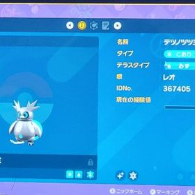 色違いテツノツツミ/ゴージャスボール入り/育成済み/レベル100 | ポケモンSV(スカーレットバイオレット)のアイテム、RMTの販売・買取一覧