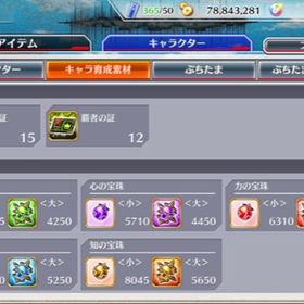 BLEACH Brave Souls 引退垢