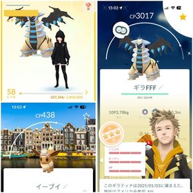 最強引退垢 色違いギラティナ100など高個体,色違い多数❗️CitySafari参加‼️ | ポケモンGOのアカウントデータ、RMTの販売・買取一覧