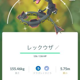 ✨色違いレックウザ + ガリュウテンセイ 1000円 | ポケモンGOのアカウントデータ、RMTの販売・買取一覧