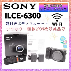 SONY VLOGCAM ZV-E10 新品¥75,000 中古¥53,880 | 新品・中古のネット最