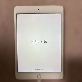 iPad mini 4 wifi+cellular