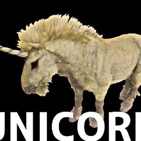 RARE SUPPORT ユニコーン | ARK Survival Evolvedのアカウントデータ、RMTの販売・買取一覧