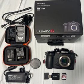 LUMIX GH5Sカメラ本体と付属品/キングストン SDXCカード など多数