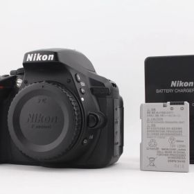 ★極上美品★《ショット数22,913回 》ニコン Nikon D5300 ボディ★ J8237＃15