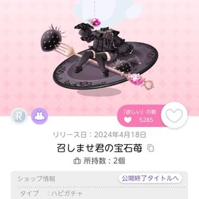 召しませ君の宝石苺と甘美な黒苺のベールハットセット | ポケコロツイン(ポケツイ)のアカウントデータ、RMTの販売・買取一覧