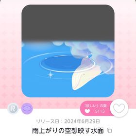 最終値下げ 雨上がりの空想映す水面 1点 | ポケコロツイン(ポケツイ)のアカウントデータ、RMTの販売・買取一覧