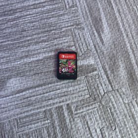 Nintendo Switch ゲームカセット スプラトゥーン2