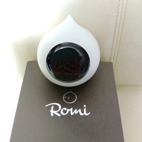Romi Lacatanモデル本体 初期設定マニュアル付き