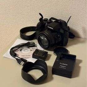 Panasonic LUMIX DMC-FZ300 デジタルカメラ