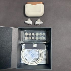 【美品】 ソニー SONY ワイヤレスイヤホン WF-1000XM3