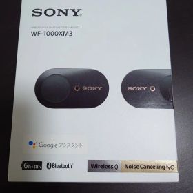 SONY WF-1000XM3 ワイヤレスイヤフォン 箱あり