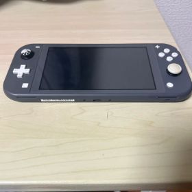 Nintendo Switch Lite グレー ケース付き