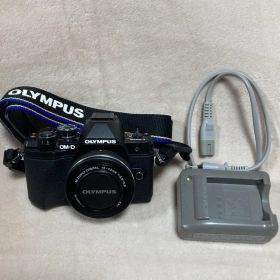 OLYMPUSデジタル一眼カメラOM-D E-M10 MARKIIIダブルズーム