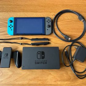 Nintendo Switch 本体 ネオンブルーグレー