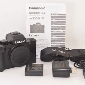 ★美品★ Panasonic パナソニック LUMIX DC-G100 ボディ ミラーレス一眼カメラ 2501821