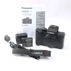 Panasonic パナソニック LUMIX DC-G100 ミラーレスカメラ