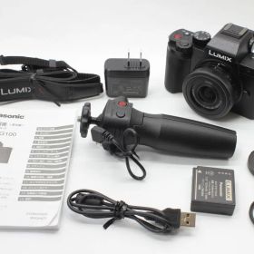 【動作美品】パナソニック Panasonic LUMIX DC-G100 H-FS12032/ G VARIO 12-32mm F3.5-5.6 ASPH 動作確認済 バッテリー