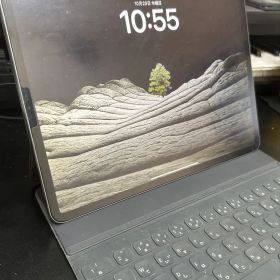 【期間限定】iPad Pro 12.9 第三世代 256gb wifi