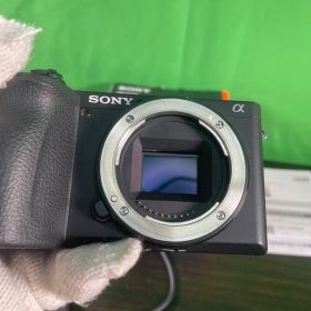 SONY α6600 ボディ ILCE-6600 ミラーレス一眼レフ SDカード