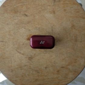 AVIOT TE-D01g ワイヤレスイヤホン ワインレッド