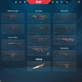 【格安】valorant引退垢 スキン多数 | VALORANT(ヴァロラント)のアカウントデータ、RMTの販売・買取一覧