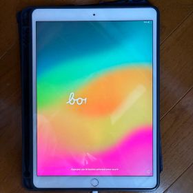 Apple iPad Pro 10.5 インチ シルバー 本体 訳あり