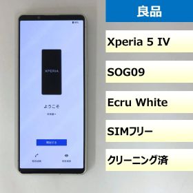 【良品】SOG09/Xperia 5 IV/351727360075280