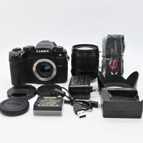 ★極上品★Panasonic LUMIX DC-G99DH 高倍率ズームレンズキット ブラック ショット数 519回