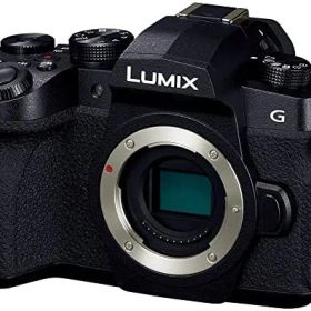 【中古】パナソニック ミラーレス一眼カメラ ルミックス G99D ボディ ブラック DC-G99D-K