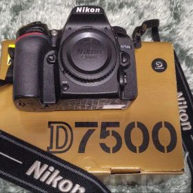 Nikon D7500 デジタル一眼レフカメラ 本体 単焦点レンズ付き 本付き