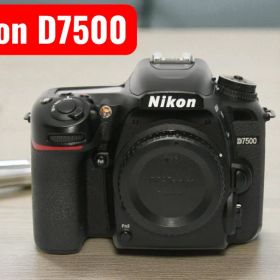 Nikon D7500 一眼レフカメラ ボディ+バッテリー+充電器+元箱など