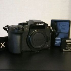 【シャッター1993回】LUMIX g8 ボディ作例あり