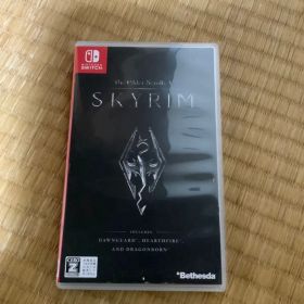 The Elder Scrolls V: Skyrim (Switch)