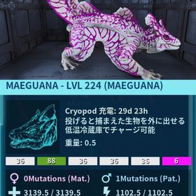 公式pve メイグアナ❣️白ピンク クローン | ARK Survival Evolvedのアカウントデータ、RMTの販売・買取一覧