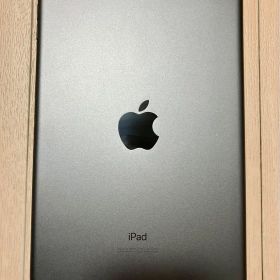 iPad mini (5th generation) 256GB 本体 破損あり