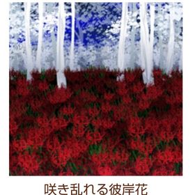 Ameba ガルショ 咲き乱れる彼岸花 | ガルショのアカウントデータ、RMTの販売・買取一覧